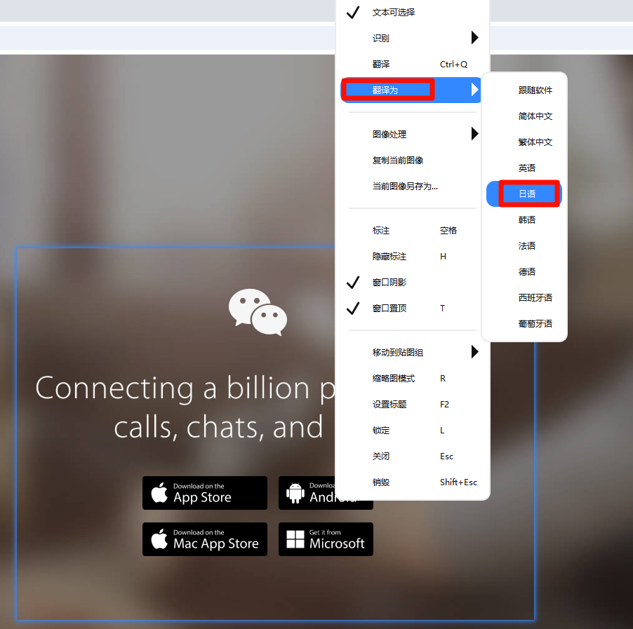 翻译为
